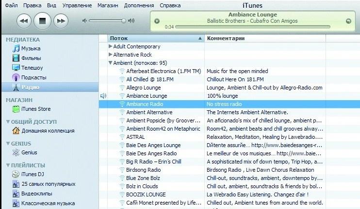 Многие пользователи Windows устанавливают для упорядочивания и воспроизведения музыки плеер от Apple