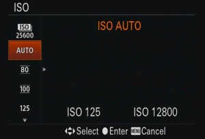 Sony ISO