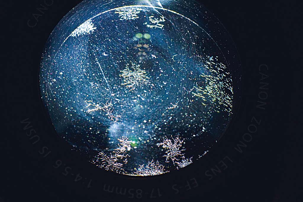 грибок на линзе объектива