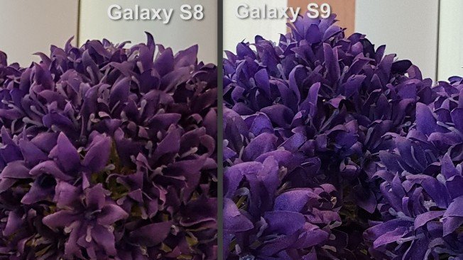 Высокая детализация изображений, полученных S9, заметна даже невооруженным взглядом