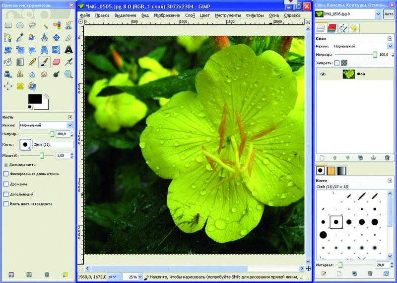 GIMP Portable позволяет выполнять правку или художественную обработку фото на профессиональном уровне