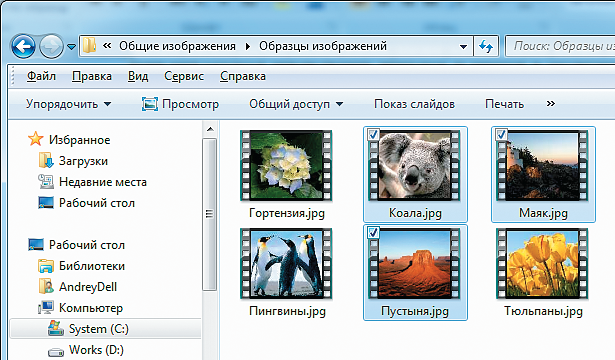 Как выделить несколько фото на компьютере