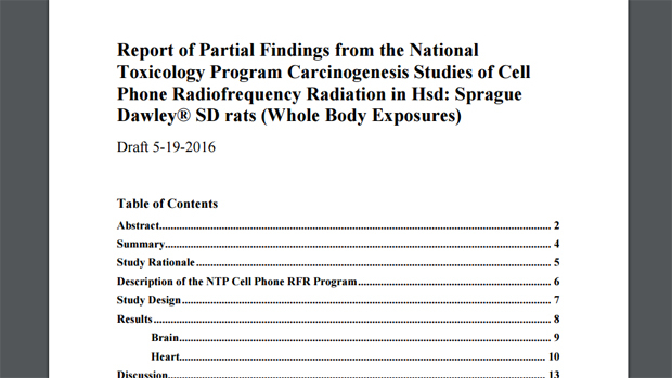 Исследование риска возникновения рака: картинка иллюстрирует содержание документа NTP. Источник: biorxiv.org