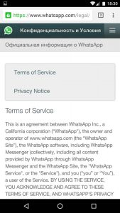 Только на английском языке. На официальном сайте отсутствует перевод на русский язык пользовательского соглашения с WhatsApp.