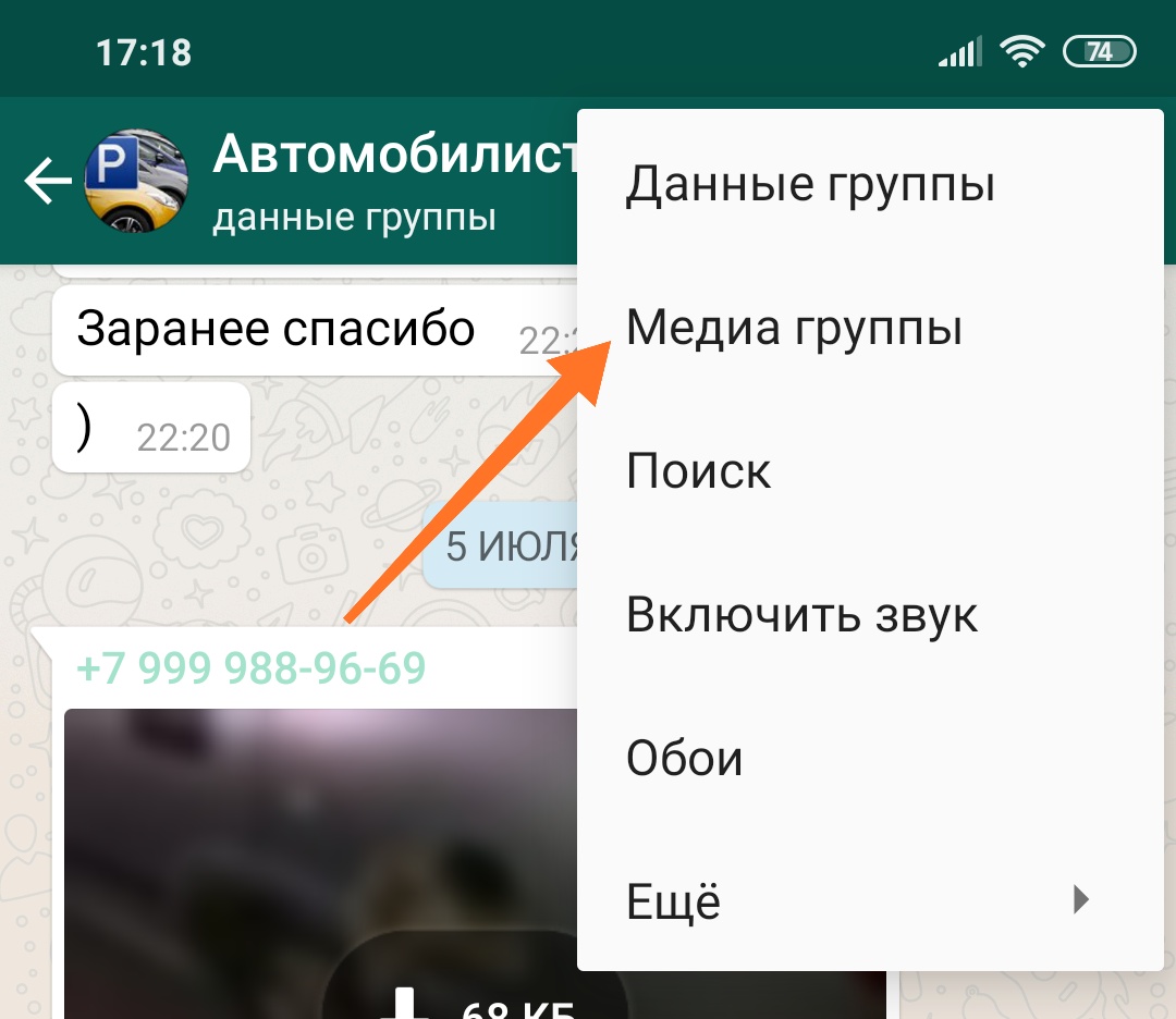 Главные хитрости WhatsApp: как стать невидимкой, выделять слова и еще 7  полезных советов | ichip.ru