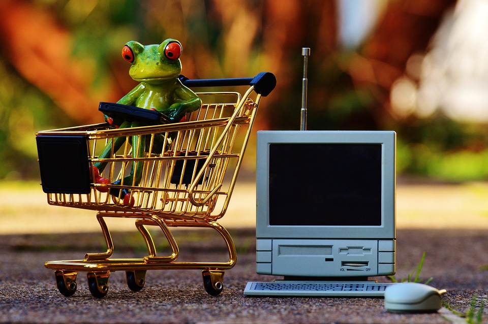 Онлайн-шопинг: как безопасно оплачивать покупки в Интернете?