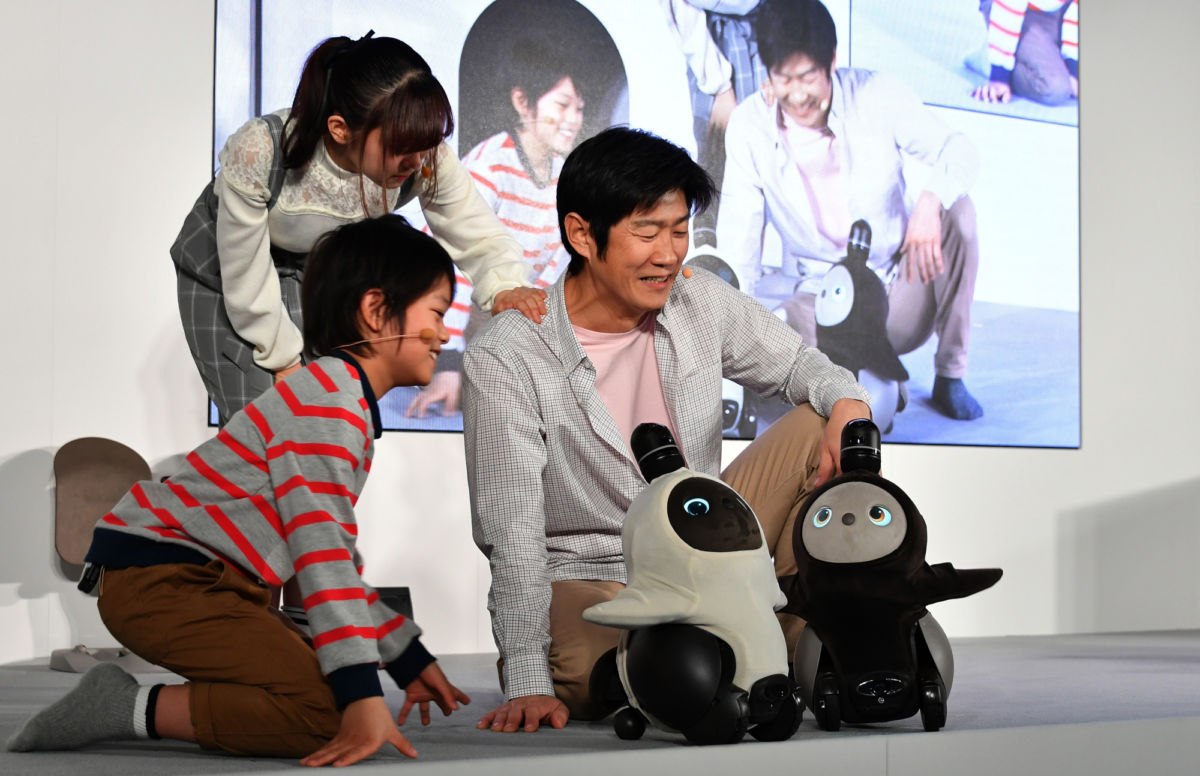 Японцы создали Ловота — робота для любви