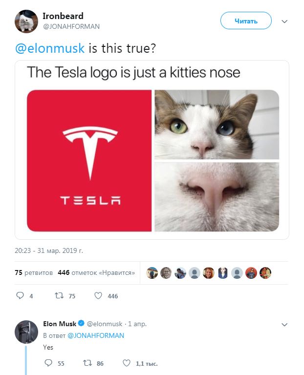 Илон Маск подтвердил, что логотип Tesla копирует кошачий носик