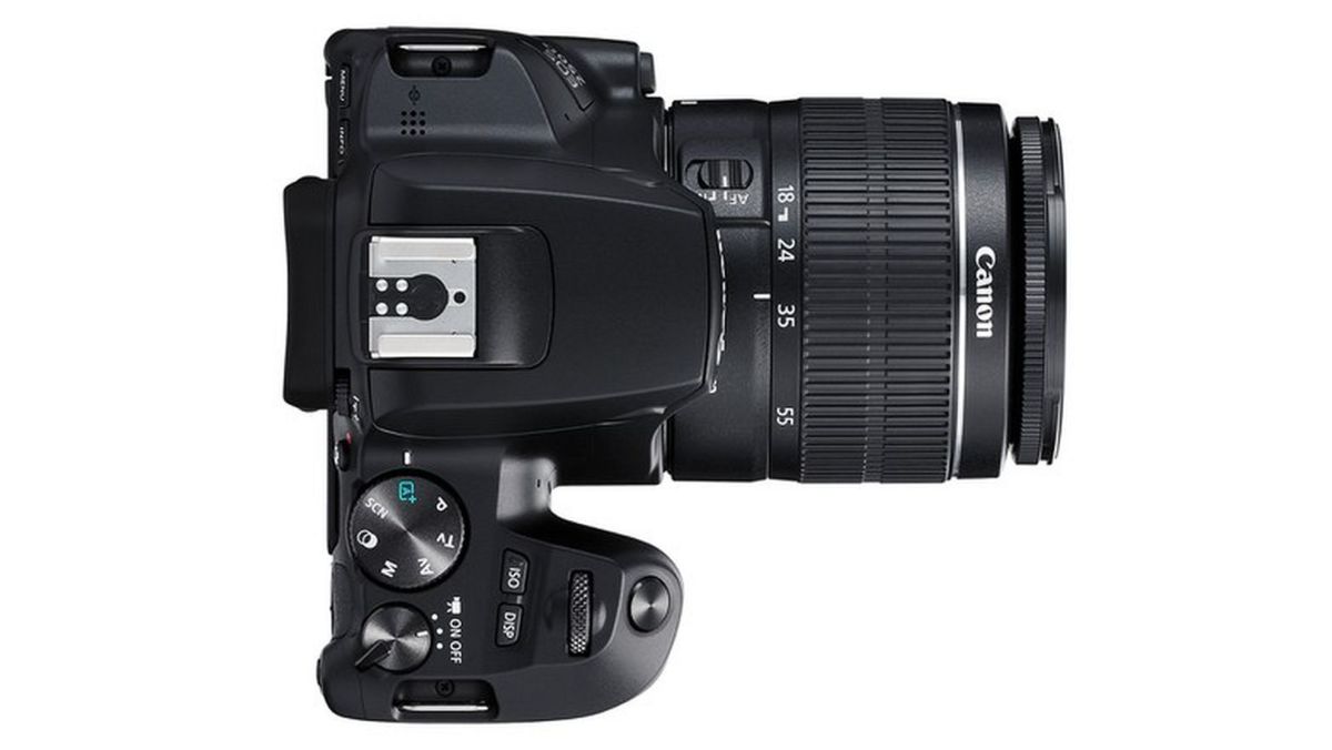 Тест DSLR-камеры Canon EOS 250D: все лучшее, плюс UHD
