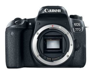 Тест DSLR-камеры Canon EOS 250D: все лучшее, плюс UHD