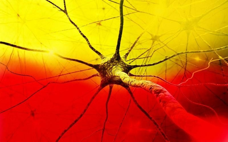 Сеть меняет наши мозги?