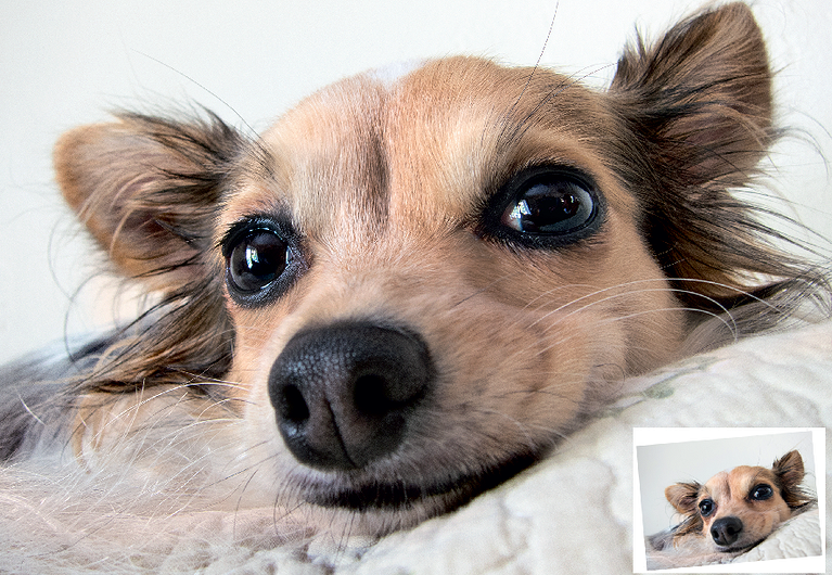 Исправляем мелкие дефекты фотографий