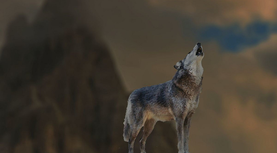 Меняем фон фотографии в Photoshop за 8 простых шагов