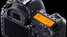 Тест фотокамеры Canon EOS 5D Mark IV: несовершенная икона среди зеркалок