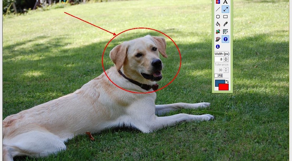 Меняем размер фотографий в IrfanView