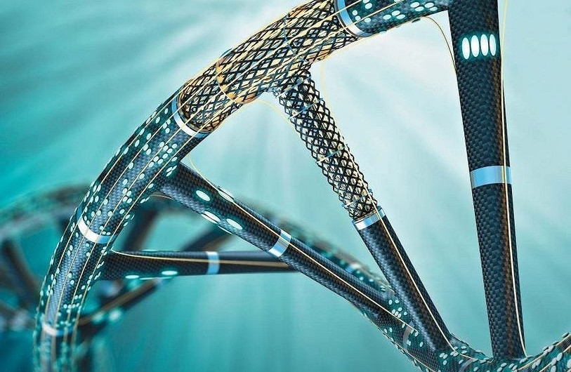 Формула вечной жизни будет открыта через 30 лет