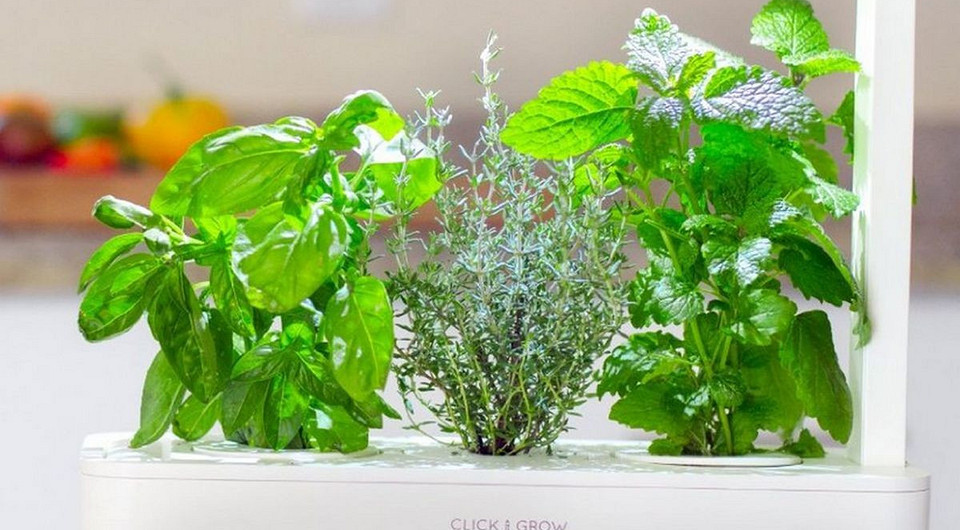 Лучшие гаджеты для садовода