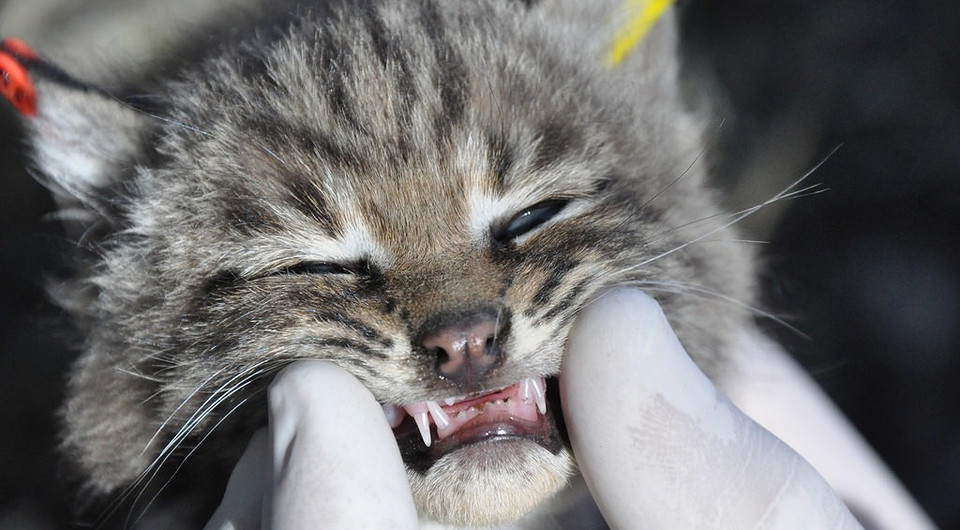 Blockchain показывает зубы. Эксперты подводят ИТ-итоги года