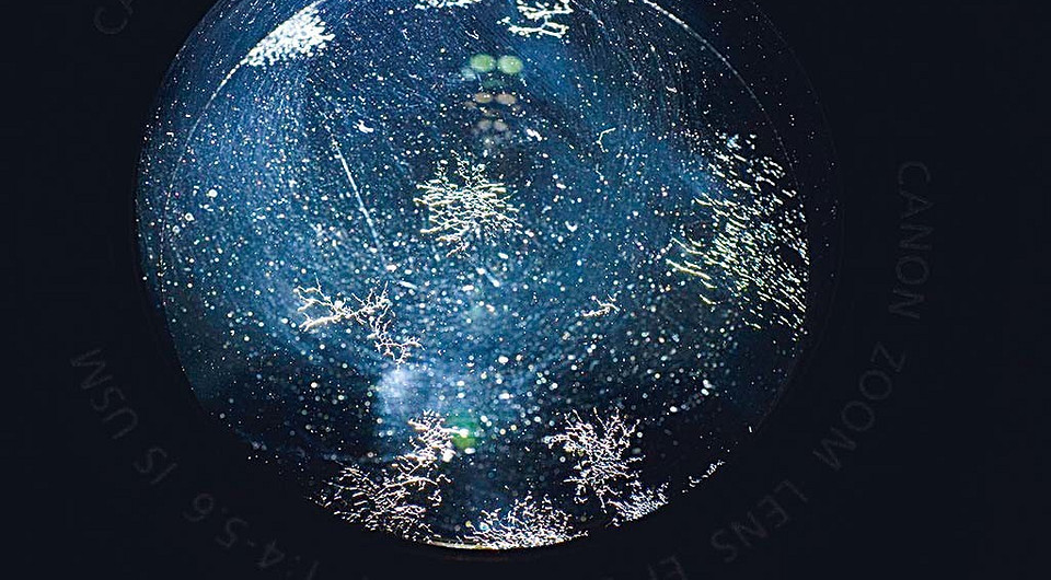 Удаляем грибок с линз фотообъектива