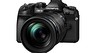 Тест фотокамеры Olympus E M1 Mark II: самая быстрая DSLM-камера