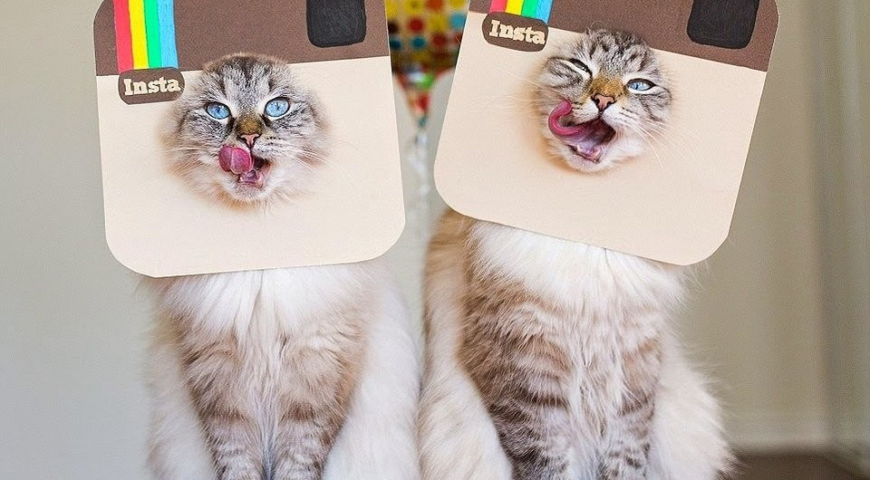 Как стать популярным в Instagram: хэштег лайк, хэштег подписка