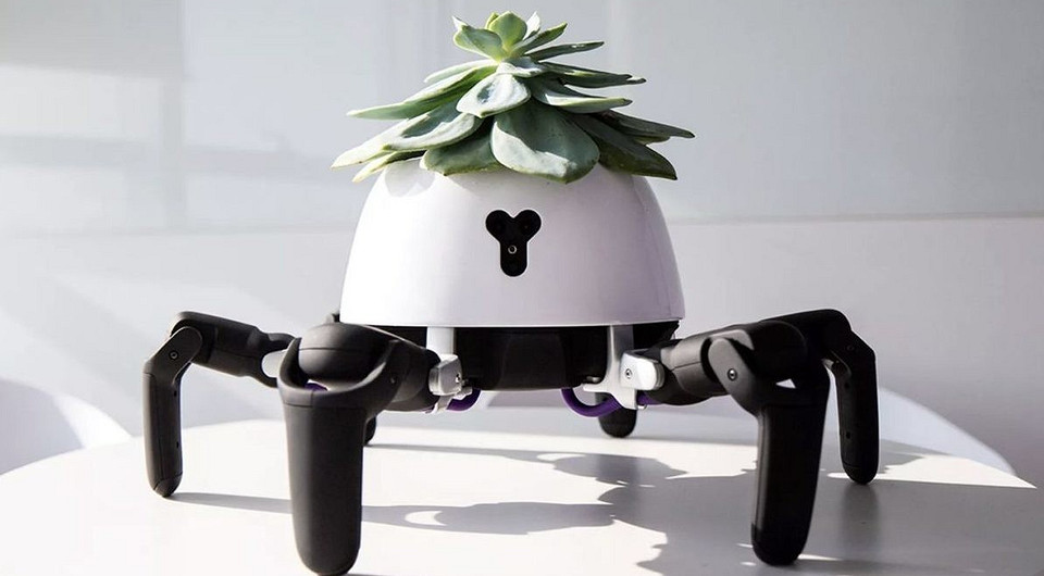 5 обычных предметов, которые неожиданно стали слишком умными