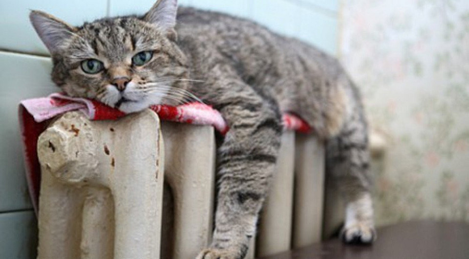 рейтинг увлажнитель воздуха для квартиры рейтинг 2019. fit 960 530 false crop 1000 664 0 0 q90 24352 ad577de8b6. рейтинг увлажнитель воздуха для квартиры рейтинг 2019 фото. рейтинг увлажнитель воздуха для квартиры рейтинг 2019-fit 960 530 false crop 1000 664 0 0 q90 24352 ad577de8b6. картинка рейтинг увлажнитель воздуха для квартиры рейтинг 2019. картинка fit 960 530 false crop 1000 664 0 0 q90 24352 ad577de8b6. Отопительный сезон в разгаре. По ГОСТу, оптимальная влажность воздуха в жилой квартире должна составлять 45-65%. Однако в те полгода российской зимы, когда в домах греют батареи, отопительные приборы круглые сутки "сушат" воздух. Проветриванием тут не поможешь — зимний морозный воздух в принципе сухой. А значит, нужно искать другой способ бороться с пониженной влажностью. рейтинг увлажнитель воздуха для квартиры рейтинг 2019. fit 960 530 false crop 1000 664 0 0 q90 24352 ad577de8b6. рейтинг увлажнитель воздуха для квартиры рейтинг 2019 фото. рейтинг увлажнитель воздуха для квартиры рейтинг 2019-fit 960 530 false crop 1000 664 0 0 q90 24352 ad577de8b6. картинка рейтинг увлажнитель воздуха для квартиры рейтинг 2019. картинка fit 960 530 false crop 1000 664 0 0 q90 24352 ad577de8b6. Отопительный сезон в разгаре. По ГОСТу, оптимальная влажность воздуха в жилой квартире должна составлять 45-65%. Однако в те полгода российской зимы, когда в домах греют батареи, отопительные приборы круглые сутки "сушат" воздух. Проветриванием тут не поможешь — зимний морозный воздух в принципе сухой. А значит, нужно искать другой способ бороться с пониженной влажностью.