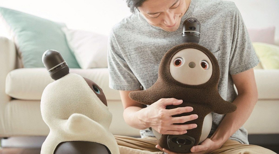 Японцы создали Ловота — робота для любви