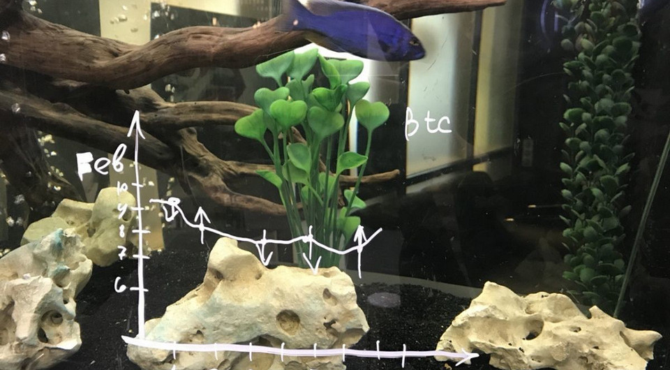 Как безошибочно узнать будущий курс биткоина и крупно заработать