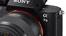 Тестируем камеру Sony Alpha 7 III: беззеркалки не сдаются