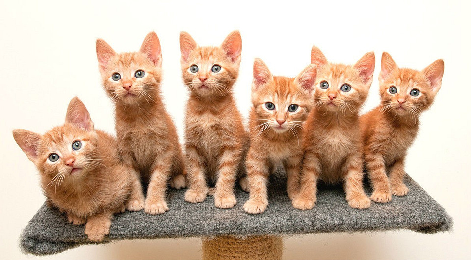 Как найти и удалить дубликаты файлов