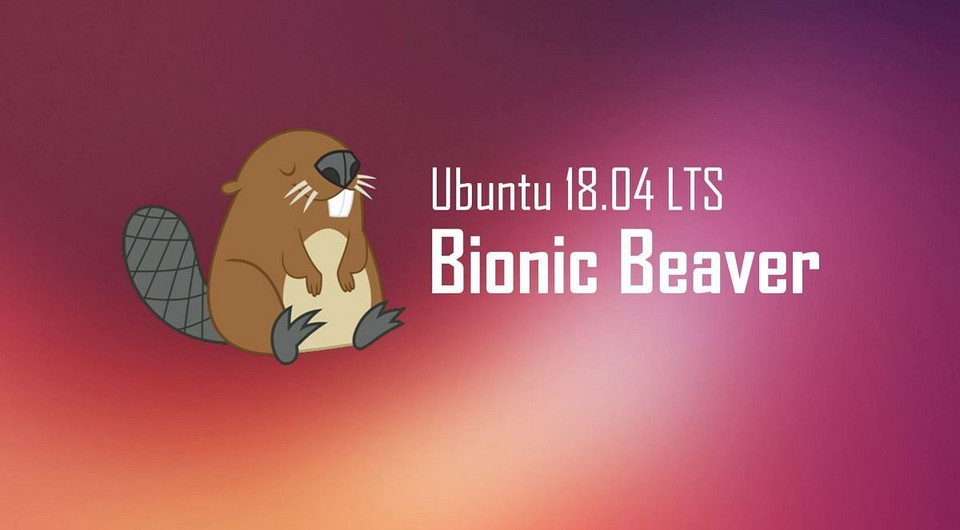 Пока, Windows: первые шаги в Ubuntu 18.04