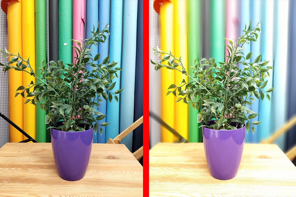 Обзор смартфона Vsmart Live: вьетнамский средний класс