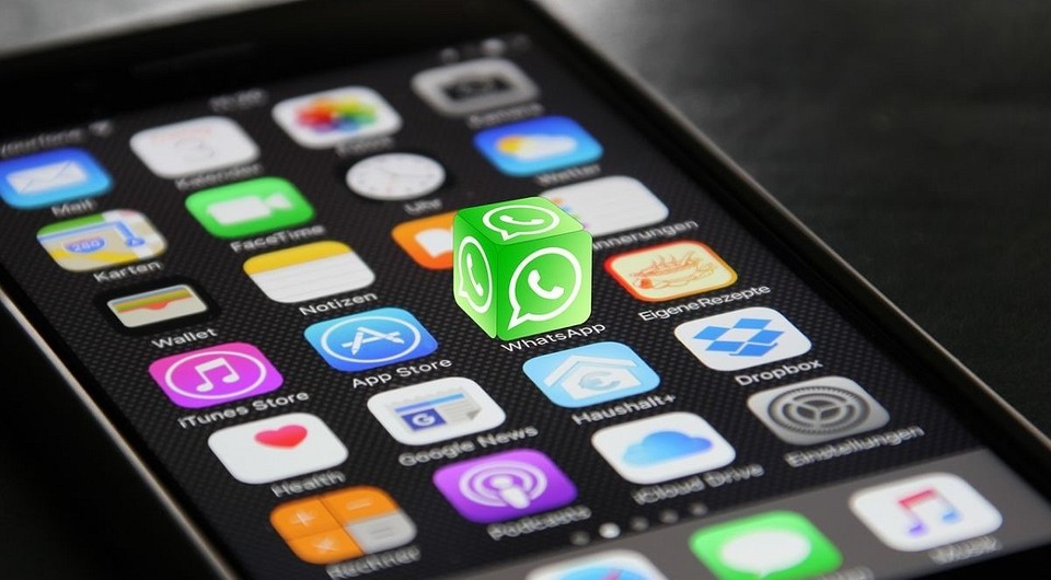 Главные хитрости WhatsApp: как стать невидимкой, выделять слова и еще 7 полезных советов
