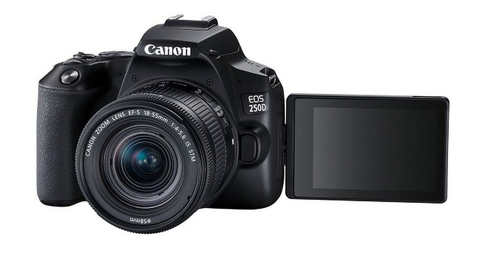 Тест DSLR-камеры Canon EOS 250D: все лучшее, плюс UHD