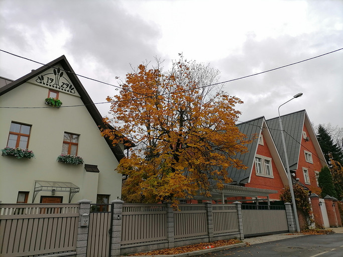 Обзор смартфона HONOR 10X Lite: новый хит до 20 000 рублей