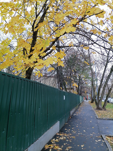 Обзор смартфона HONOR 10X Lite: новый хит до 20 000 рублей