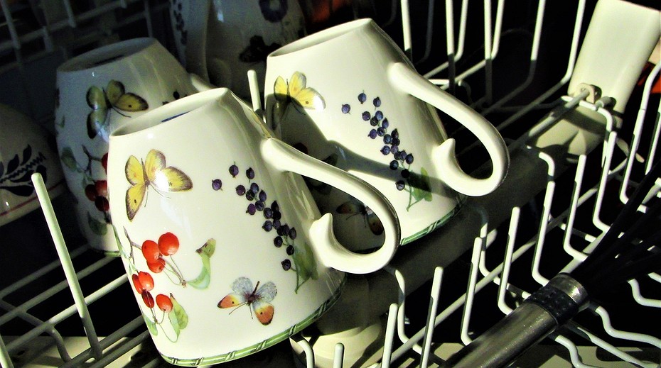 kakuyu posudu mozhno i nelzya myt v