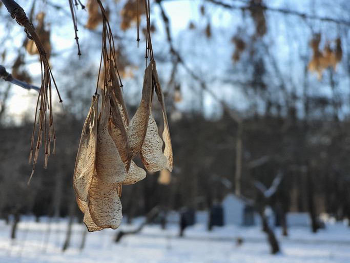 Обзор смартфона Samsung Galaxy Note10 Lite: блокнот для народа