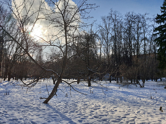 Обзор смартфона Samsung Galaxy Note10 Lite: блокнот для народа