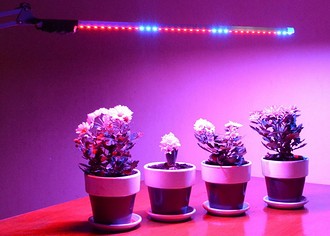 Да-да, растения оказывается тоже нуждаются в свете, причем для них идеален определенный спектр. Некоторым светолюбивым растениям просто-напросто не хватает света в зимнее время года, когд...