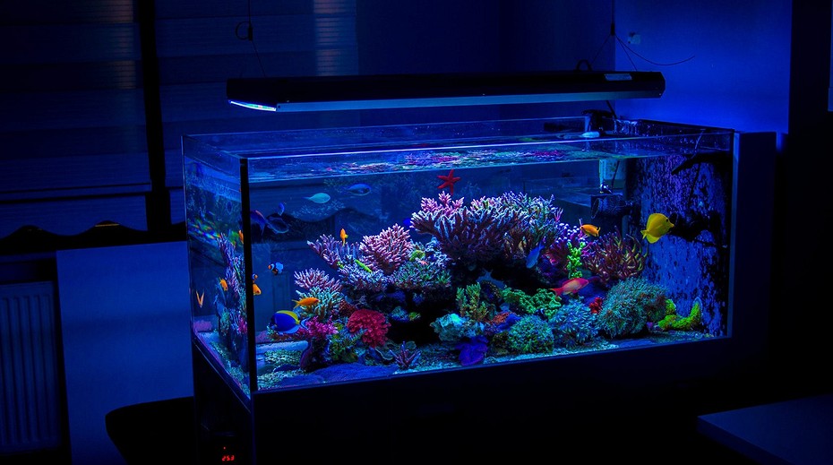 - для аквариумов до 350 литров