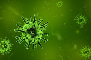Стоп, коронавирус: ответы на самые важные вопросы о COVID-19