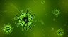 Стоп, коронавирус: ответы на самые важные вопросы о COVID-19