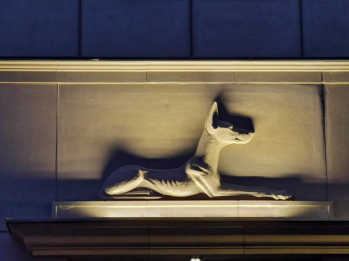 Обзор смартфона HUAWEI P40 Pro: камерофон без Google