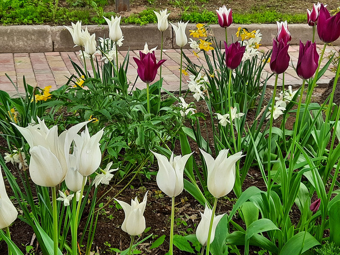 Обзор смартфона Samsung Galaxy M21: хороший дисплей и 6000 мАч