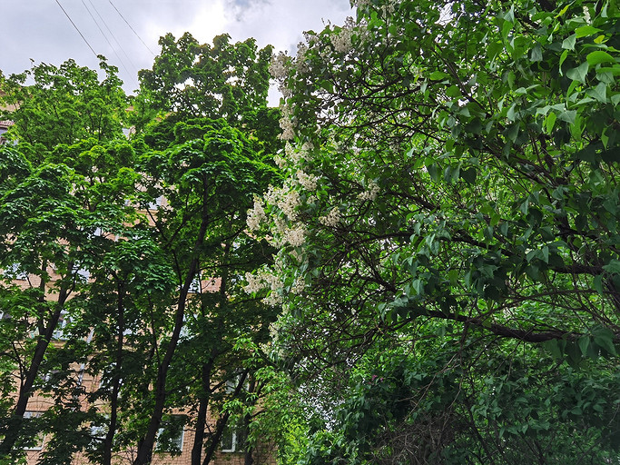 Обзор смартфона HONOR 30 Pro+: флагман с необычным дизайном