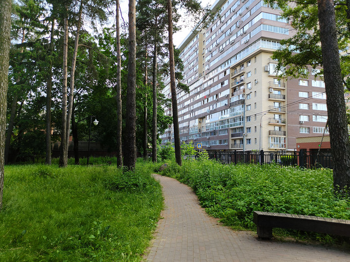 Тест и обзор Honor 30S: мощный универсал в зеркальных доспехах