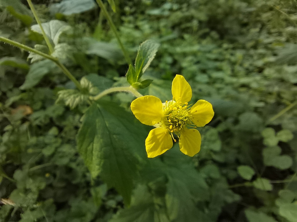 Тест и обзор Honor 30S: мощный универсал в зеркальных доспехах Тест и обзор Honor 30S: мощный универсал в зеркальных доспехах