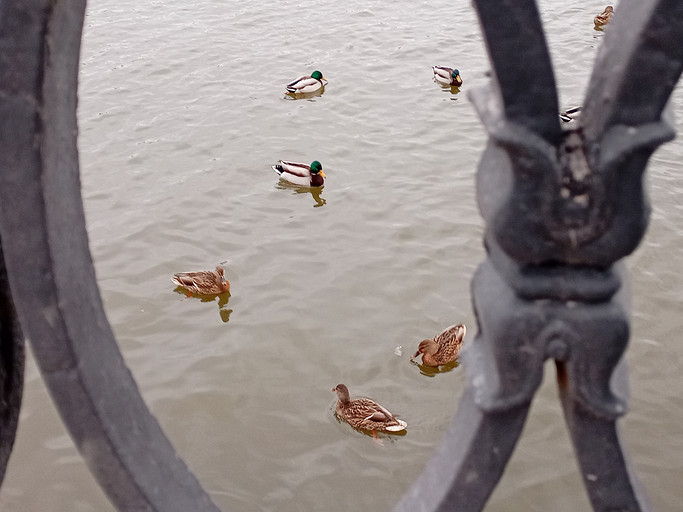 Обзор смартфона Infinix Note 8: это что-то новенькое